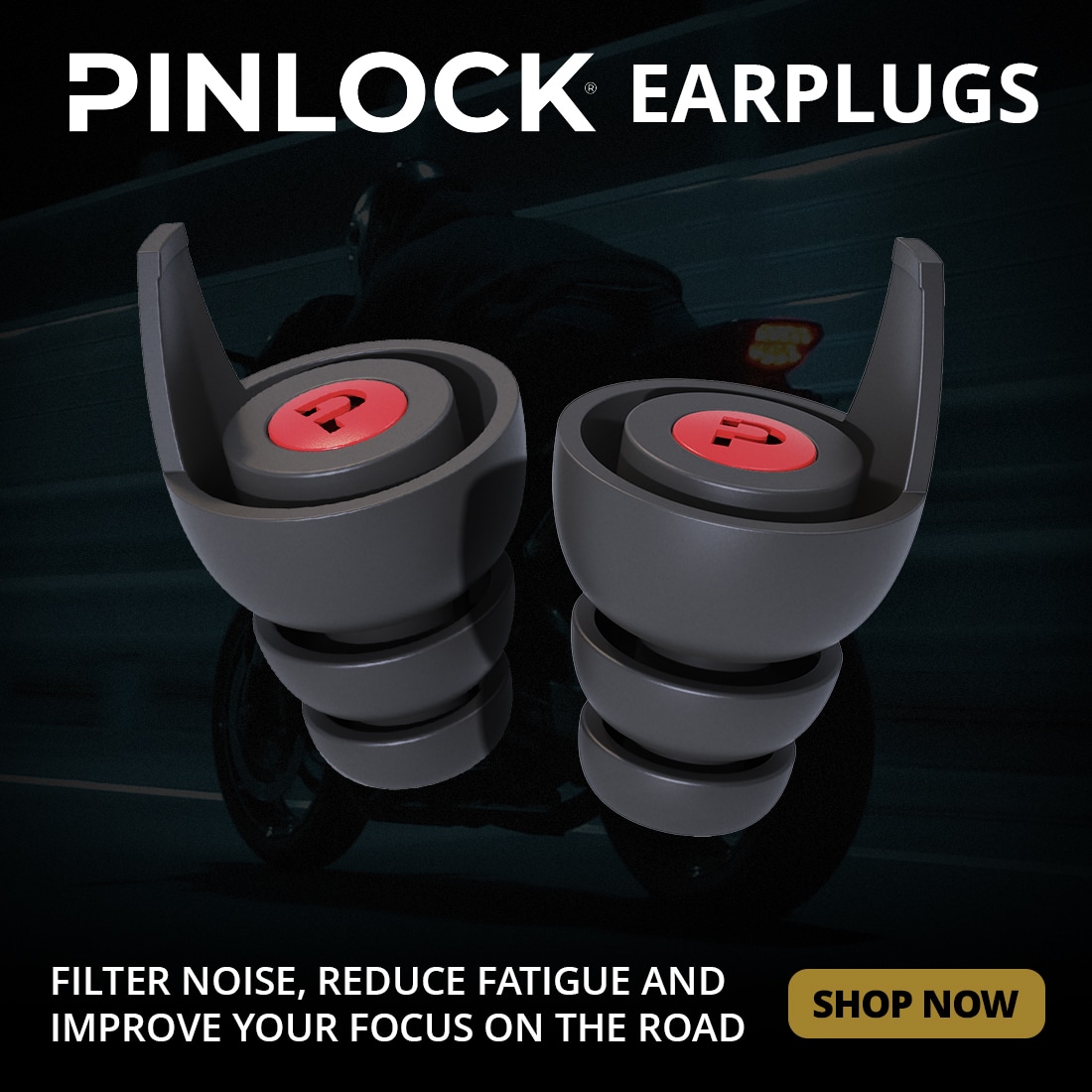 Pinlock Earplug Set With Case
