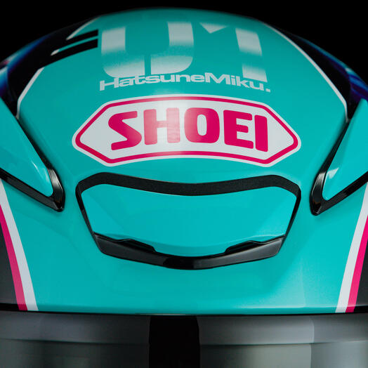 RF-1400 Hatsune Miku 7