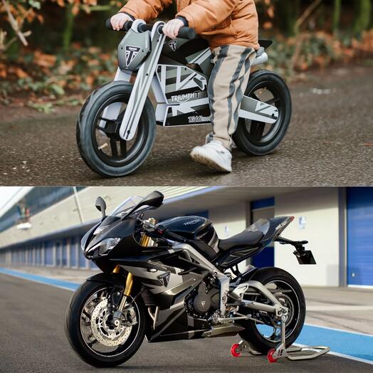 Triumph Daytona 765 Balance Bike 9
