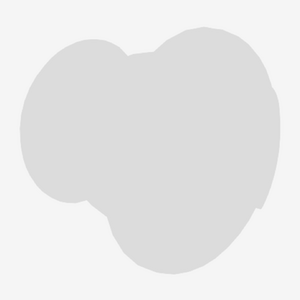 SHOEI Specific Pin 2 Thumbnail