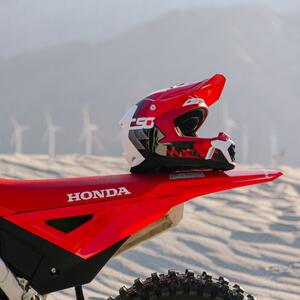 C50 Primal 14 Thumbnail