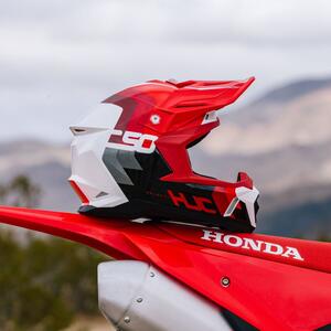 C50 Primal 13 Thumbnail