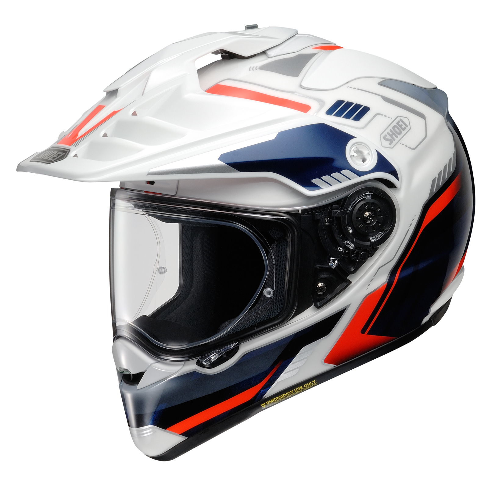 Shoei Hornet X2 Invigorate Helmet