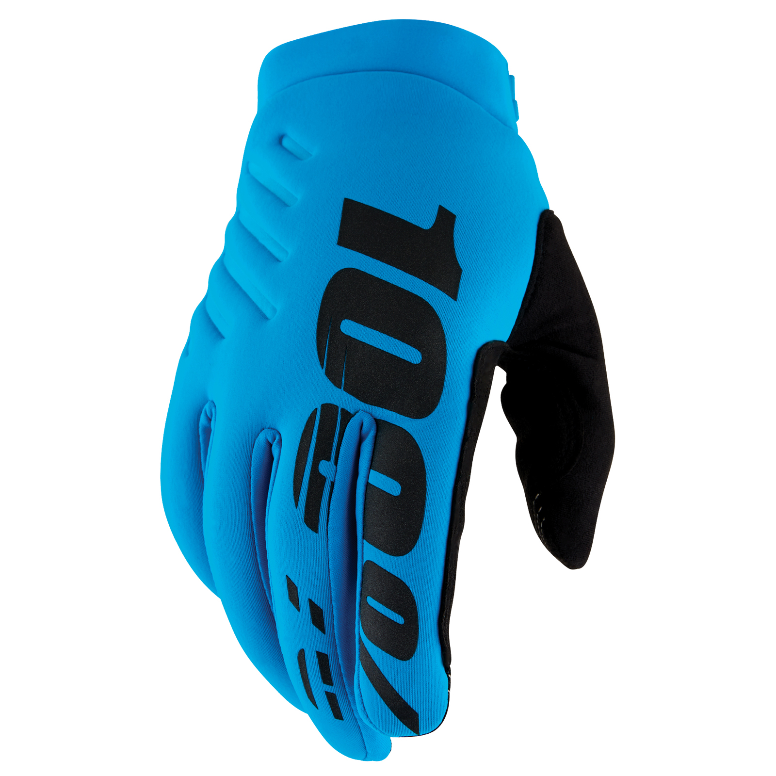 100% Brisker Cold Weather Gloves