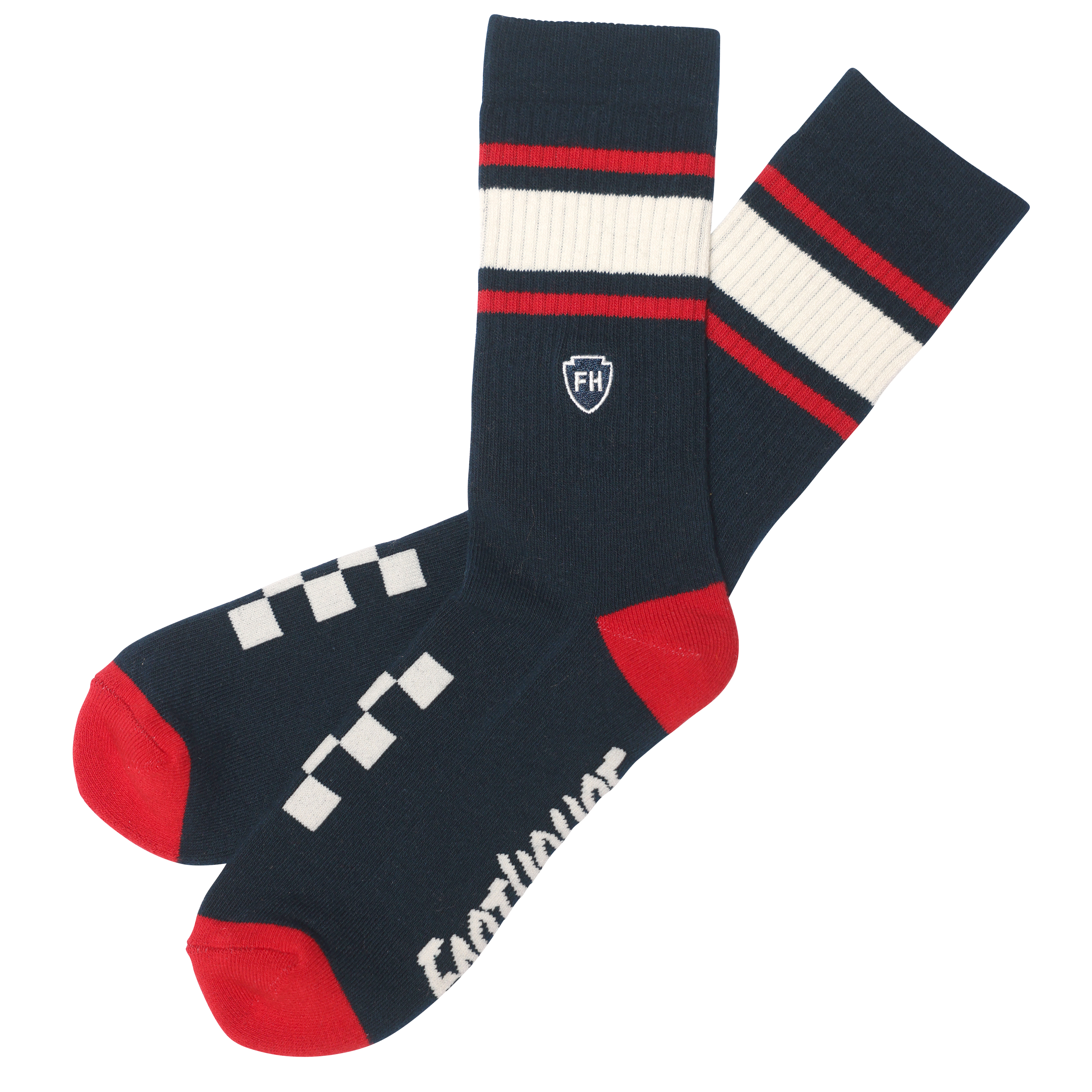 FastHouse Venice Socks